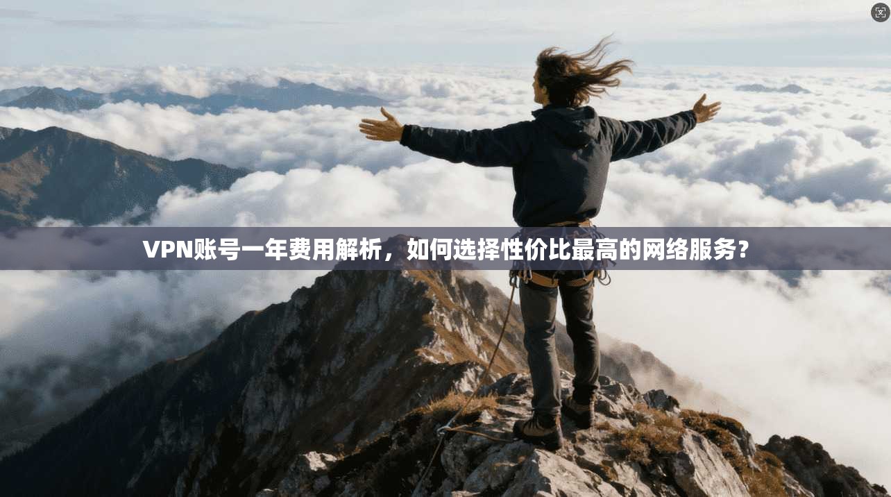 VPN账号一年费用解析,如何选择性价比最高的网络服务?