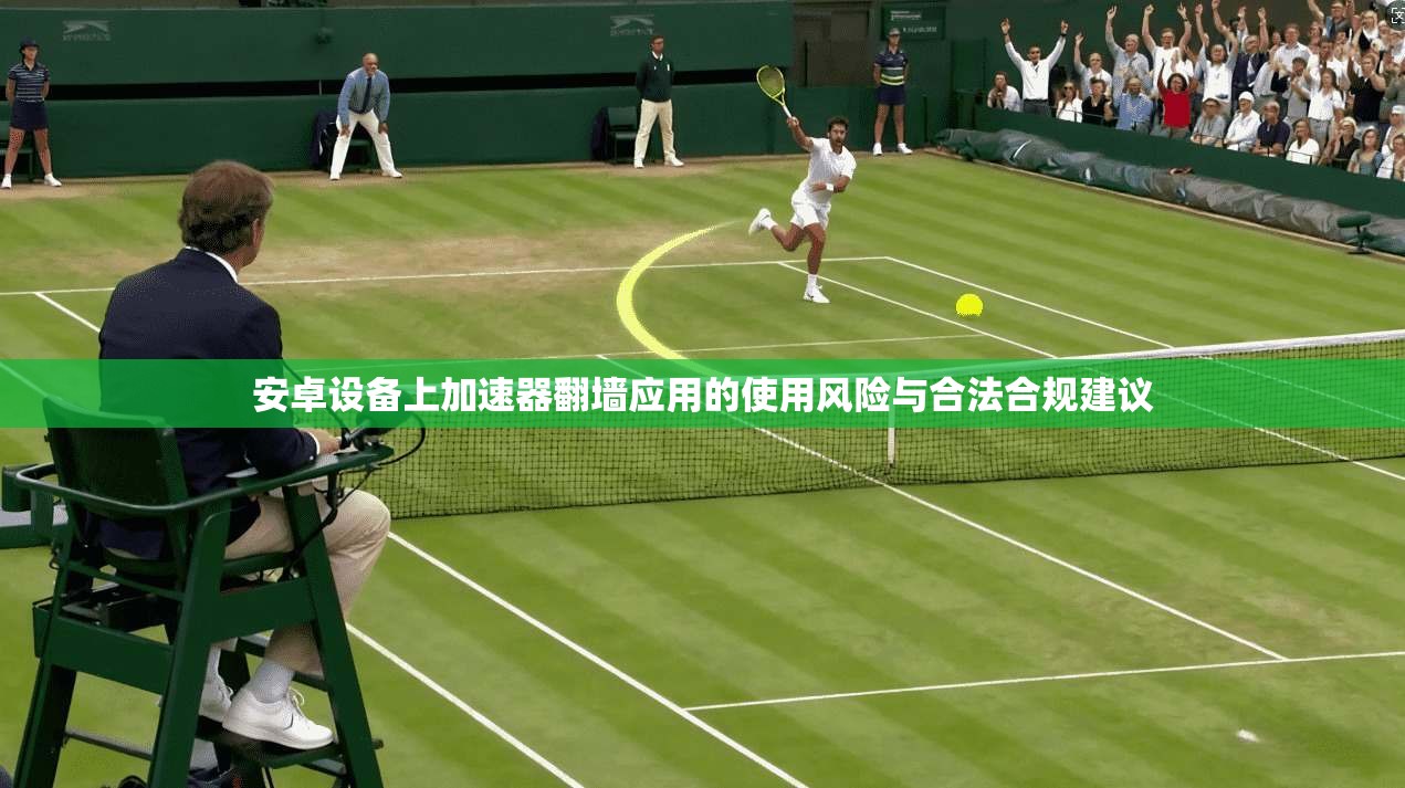 安卓设备上加速器翻墙应用的使用风险与合法合规建议