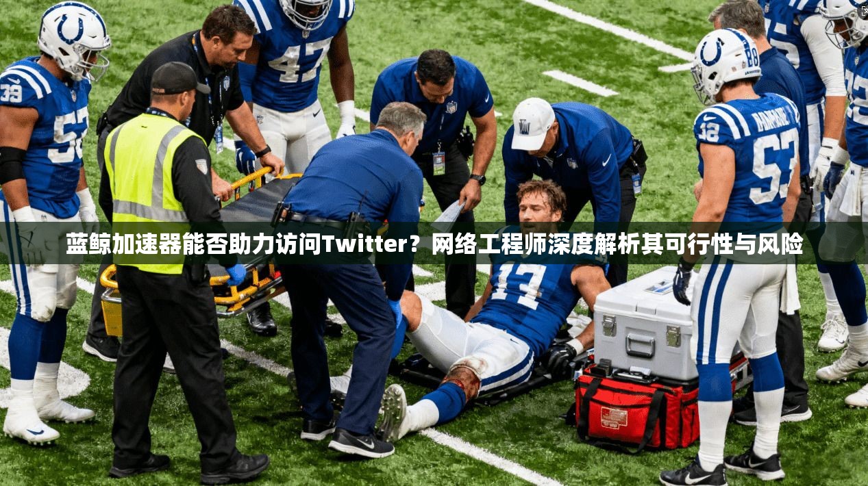 蓝鲸加速器能否助力访问Twitter?网络工程师深度解析其可行性与风险 蓝鲸加速器能否助力访问Twitter?网络工程师深度解析其可行性与风险