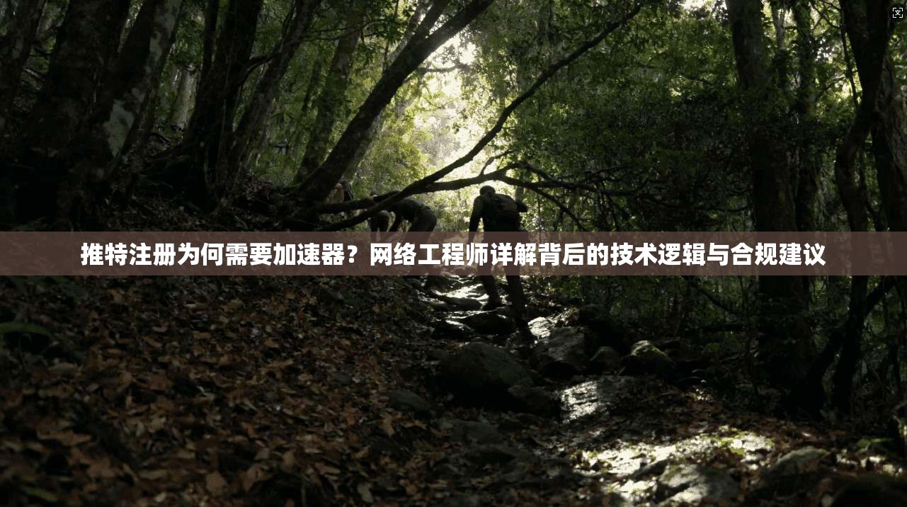 推特注册为何需要加速器?网络工程师详解背后的技术逻辑与合规建议