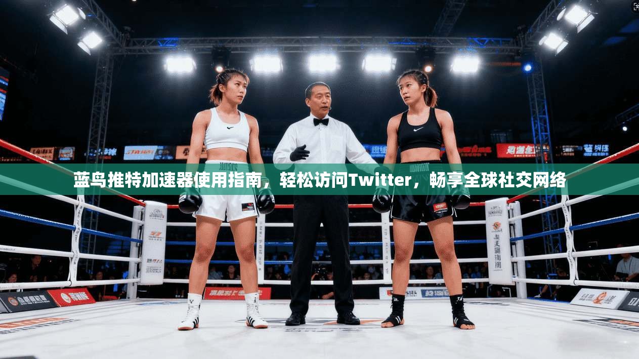蓝鸟推特加速器使用指南,轻松访问Twitter,畅享全球社交网络 蓝鸟推特加速器使用指南,轻松访问Twitter,畅享全球社交网络
