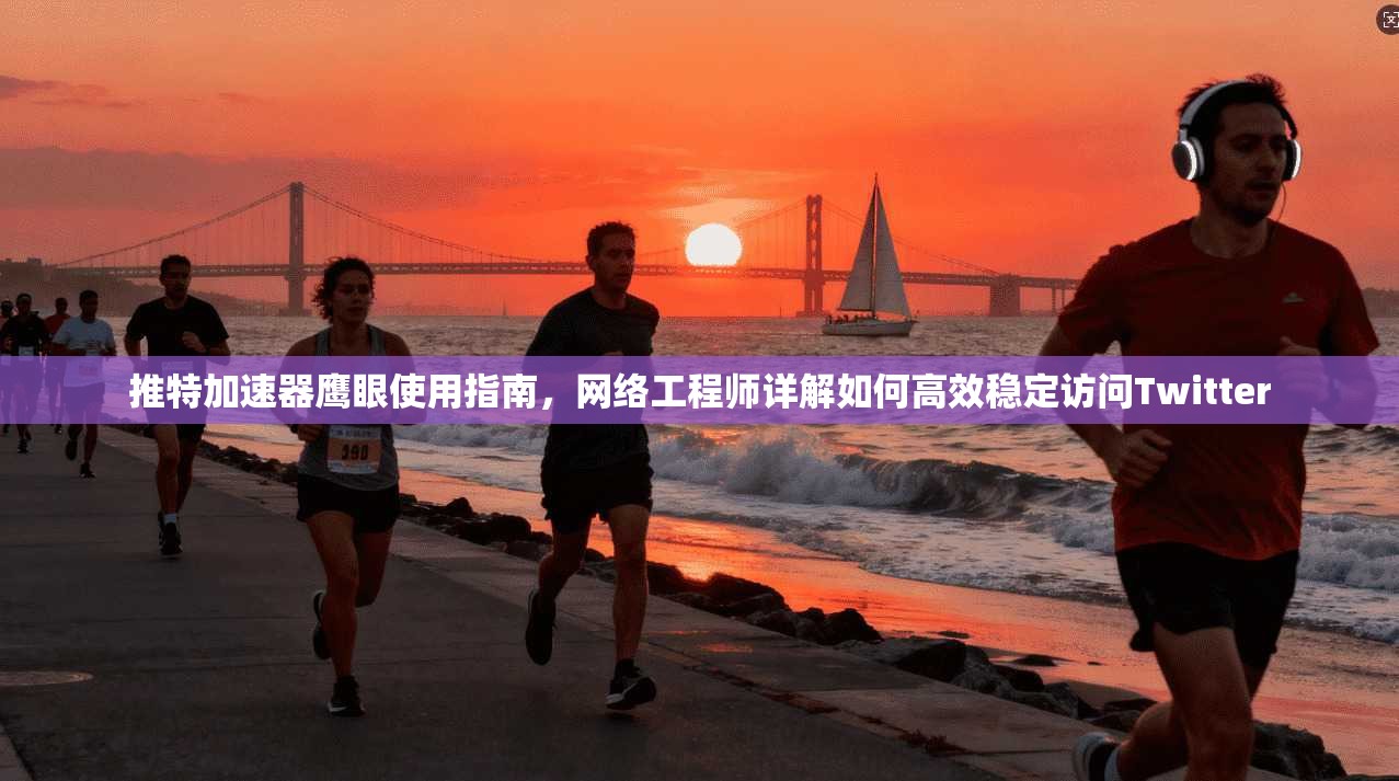 推特加速器鹰眼使用指南，网络工程师详解如何高效稳定访问Twitter