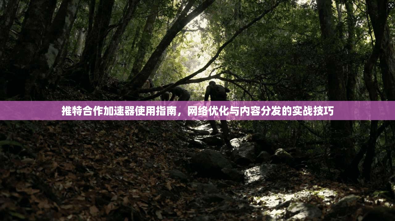 推特合作加速器使用指南,网络优化与内容分发的实战技巧
