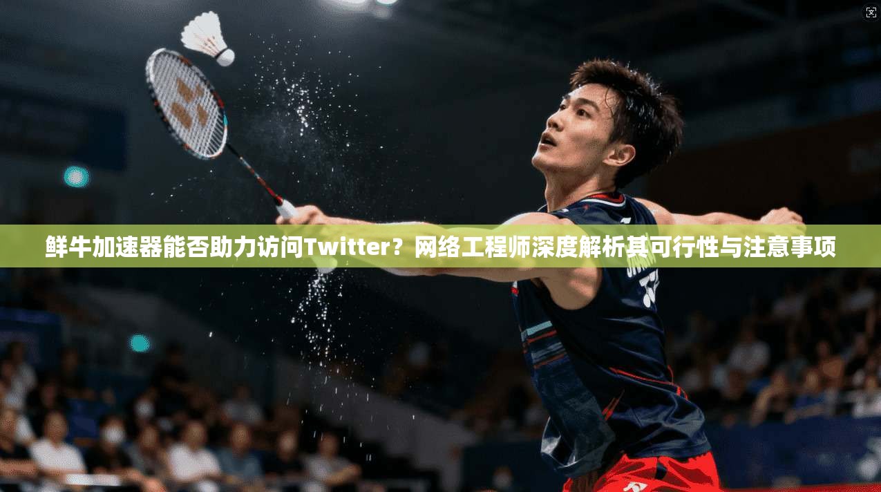 鲜牛加速器能否助力访问Twitter?网络工程师深度解析其可行性与注意事项