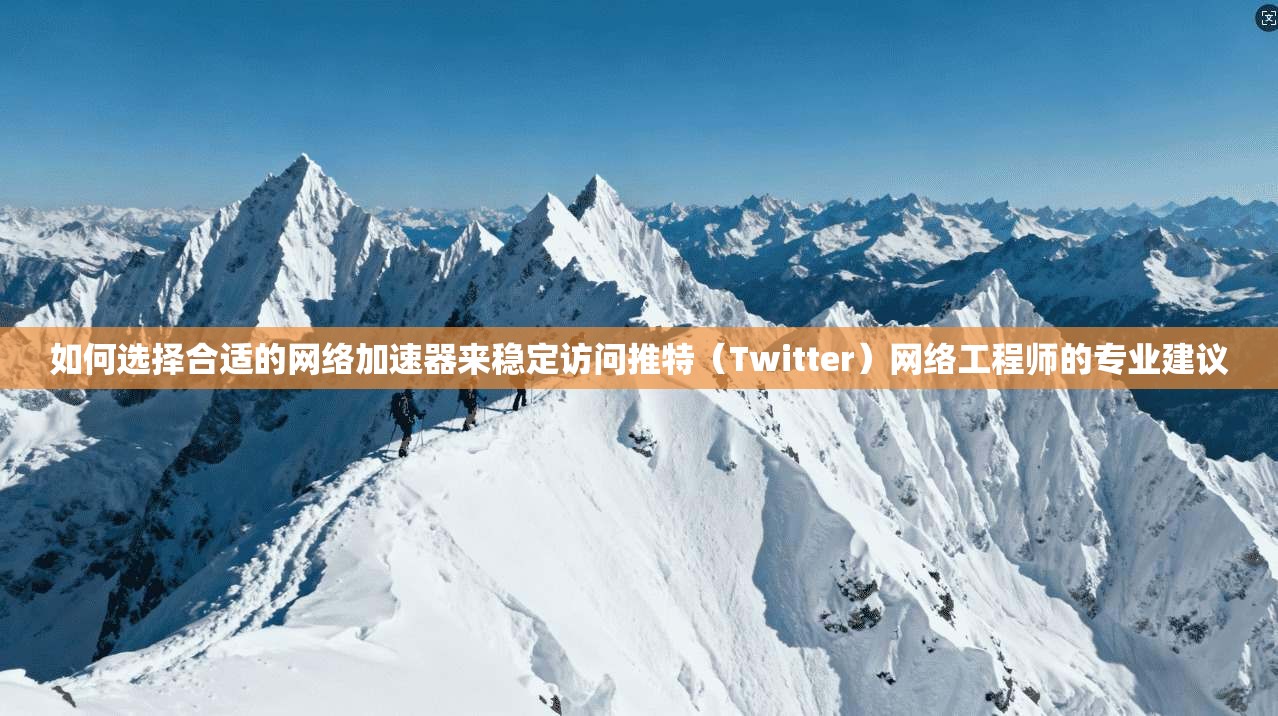 如何选择合适的网络加速器来稳定访问推特（Twitter）网络工程师的专业建议