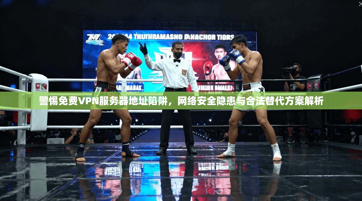 警惕免费VPN服务器地址陷阱,网络安全隐患与合法替代方案解析