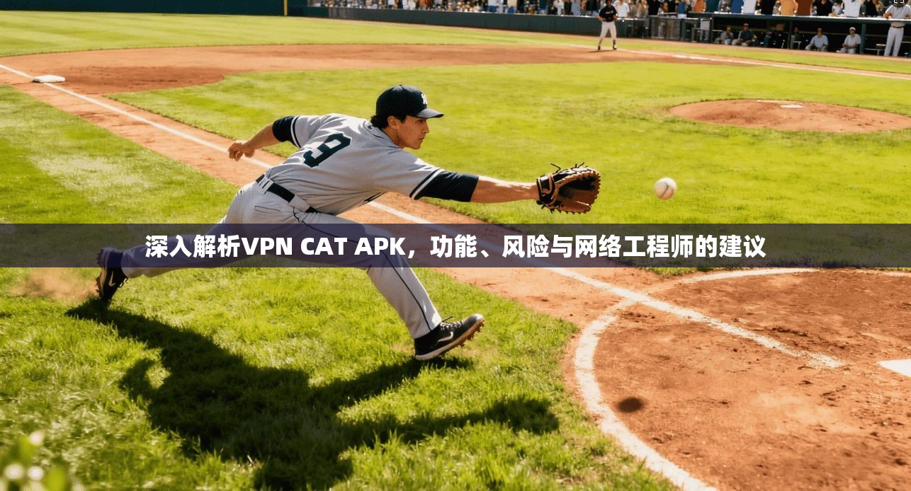 深入解析VPN CAT APK，功能、风险与网络工程师的建议