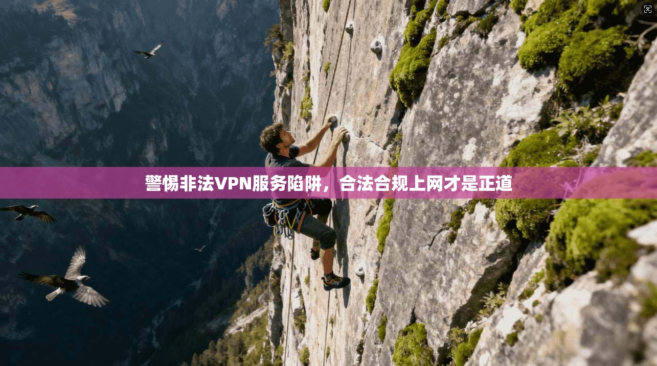 警惕非法VPN服务陷阱,合法合规上网才是正道 警惕非法VPN服务陷阱,合法合规上网才是正道
