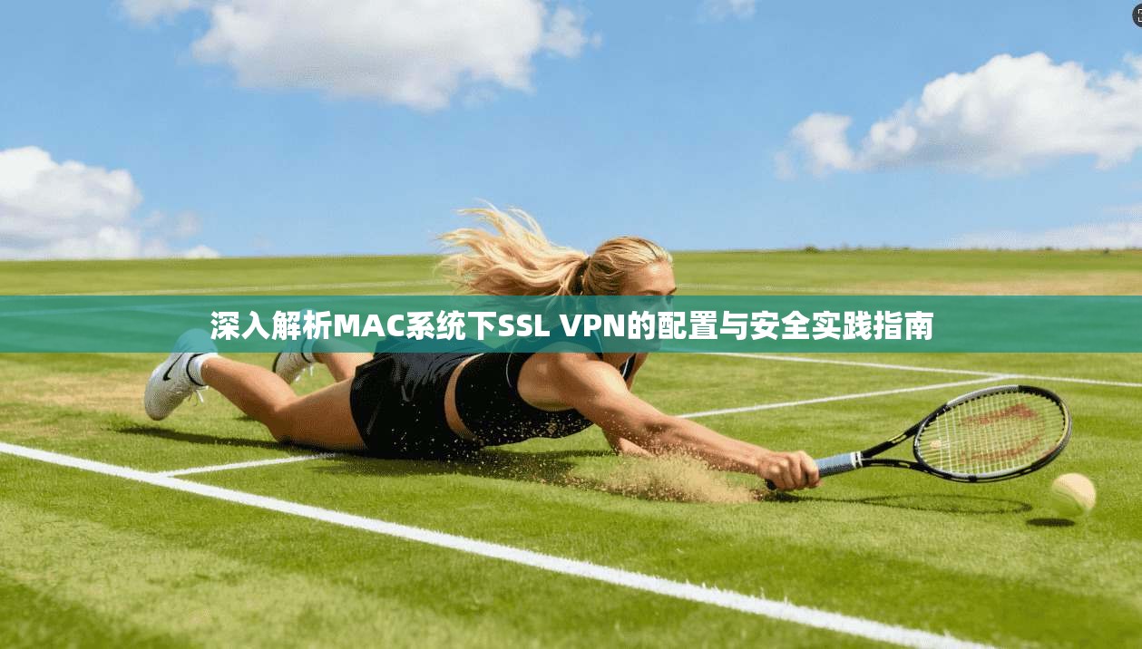 深入解析MAC系统下SSL VPN的配置与安全实践指南 深入解析MAC系统下SSL VPN的配置与安全实践指南