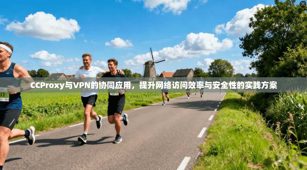 CCProxy与VPN的协同应用,提升网络访问效率与安全性的实践方案