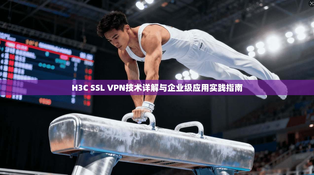 H3C SSL VPN技术详解与企业级应用实践指南 H3C SSL VPN技术详解与企业级应用实践指南