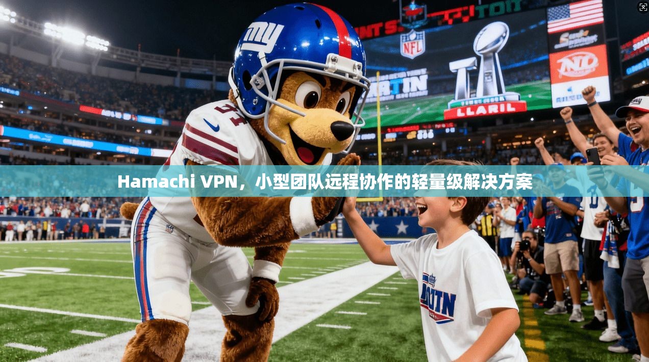 Hamachi VPN,小型团队远程协作的轻量级解决方案 Hamachi VPN,小型团队远程协作的轻量级解决方案