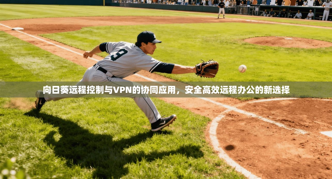 向日葵远程控制与VPN的协同应用,安全高效远程办公的新选择 向日葵远程控制与VPN的协同应用,安全高效远程办公的新选择