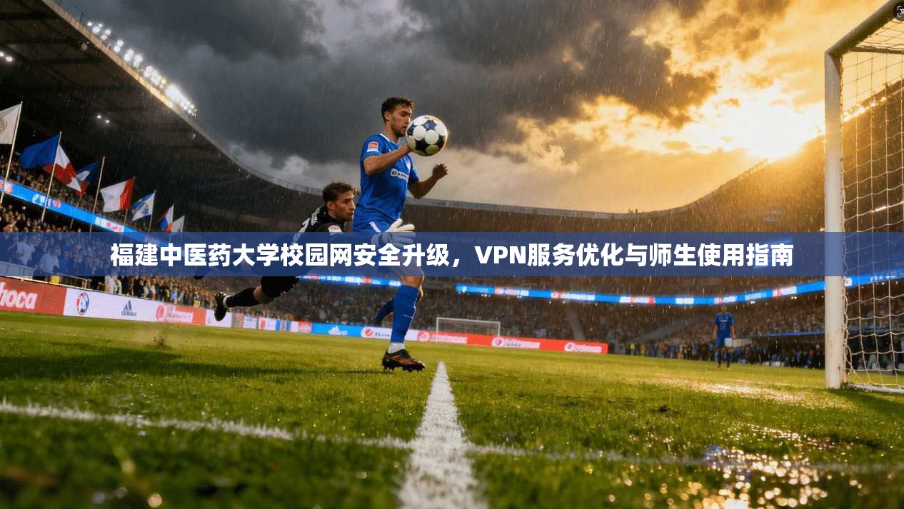 福建中医药大学校园网安全升级,VPN服务优化与师生使用指南 福建中医药大学校园网安全升级,VPN服务优化与师生使用指南