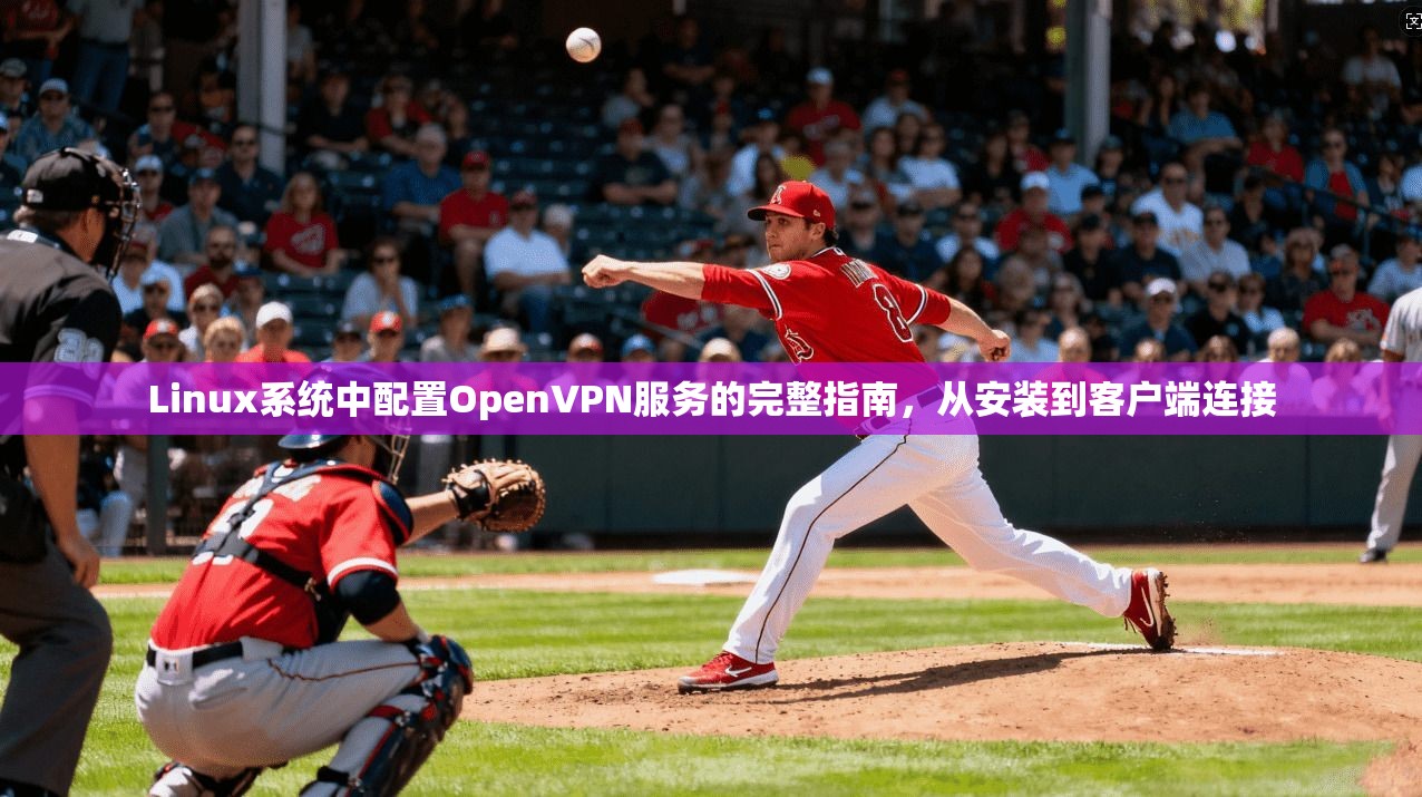 Linux系统中配置OpenVPN服务的完整指南,从安装到客户端连接