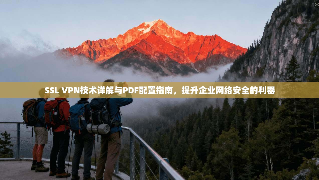 SSL VPN技术详解与PDF配置指南,提升企业网络安全的利器