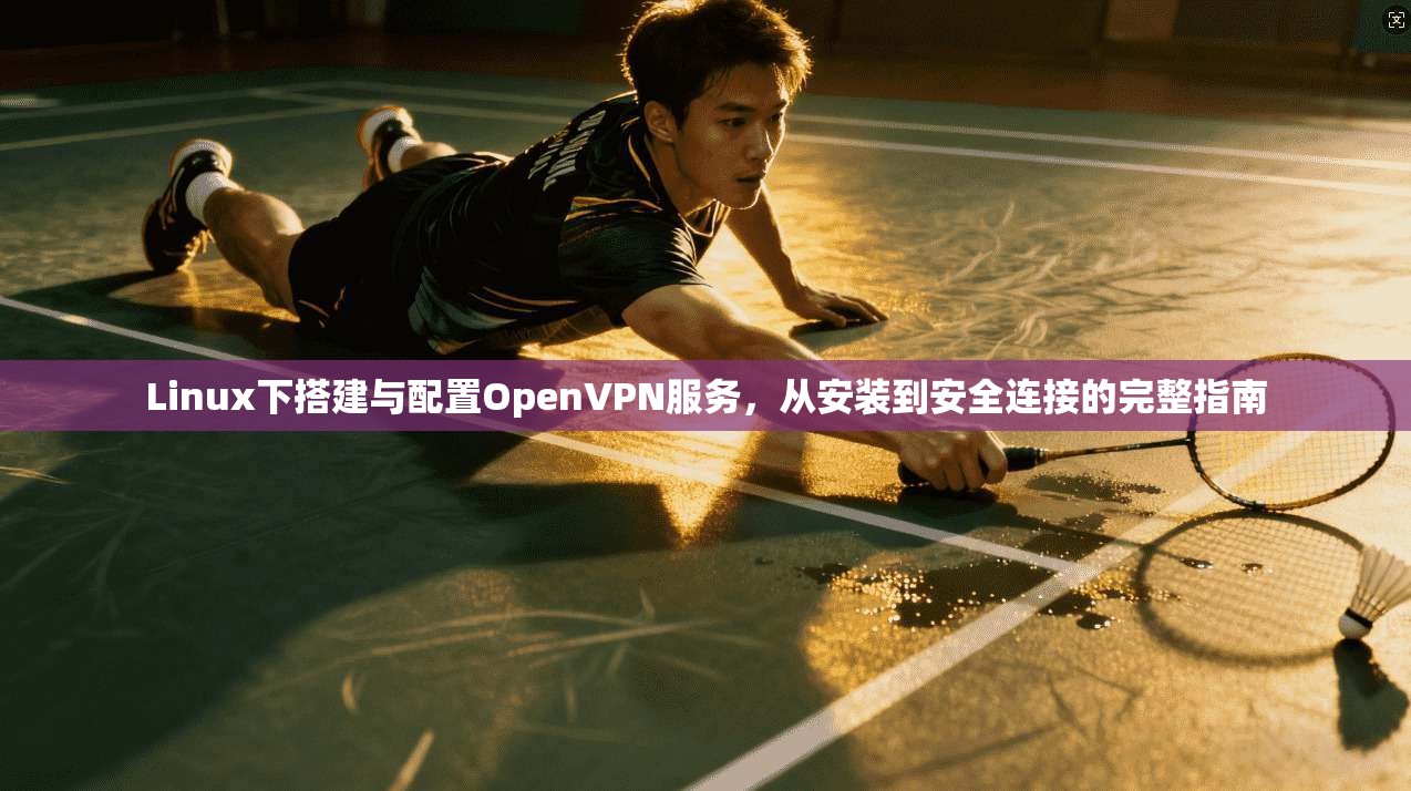 Linux下搭建与配置OpenVPN服务，从安装到安全连接的完整指南