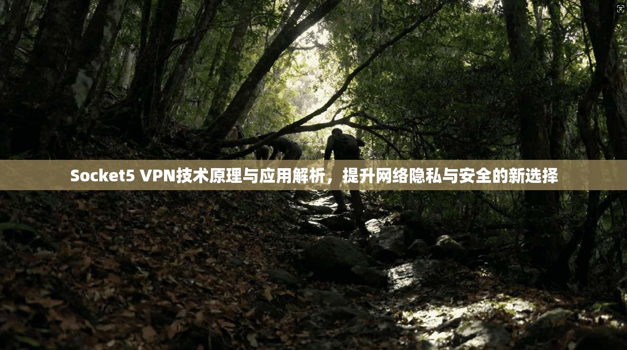Socket5 VPN技术原理与应用解析，提升网络隐私与安全的新选择