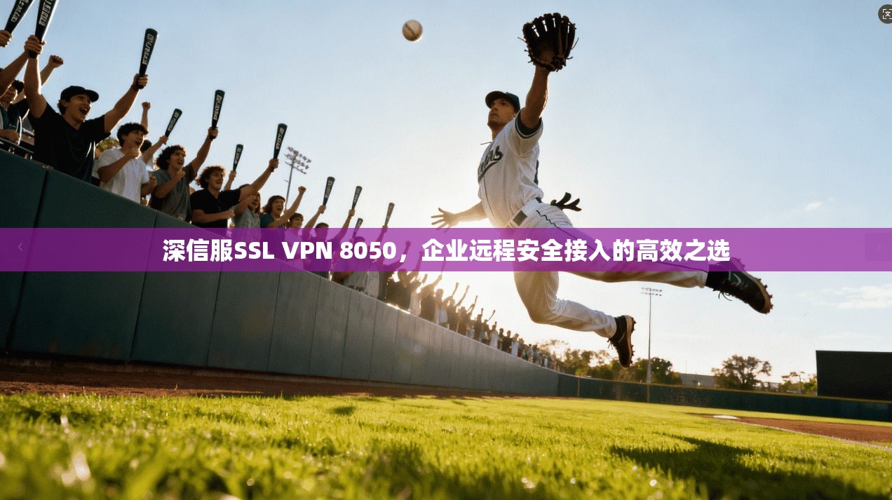 深信服SSL VPN 8050,企业远程安全接入的高效之选