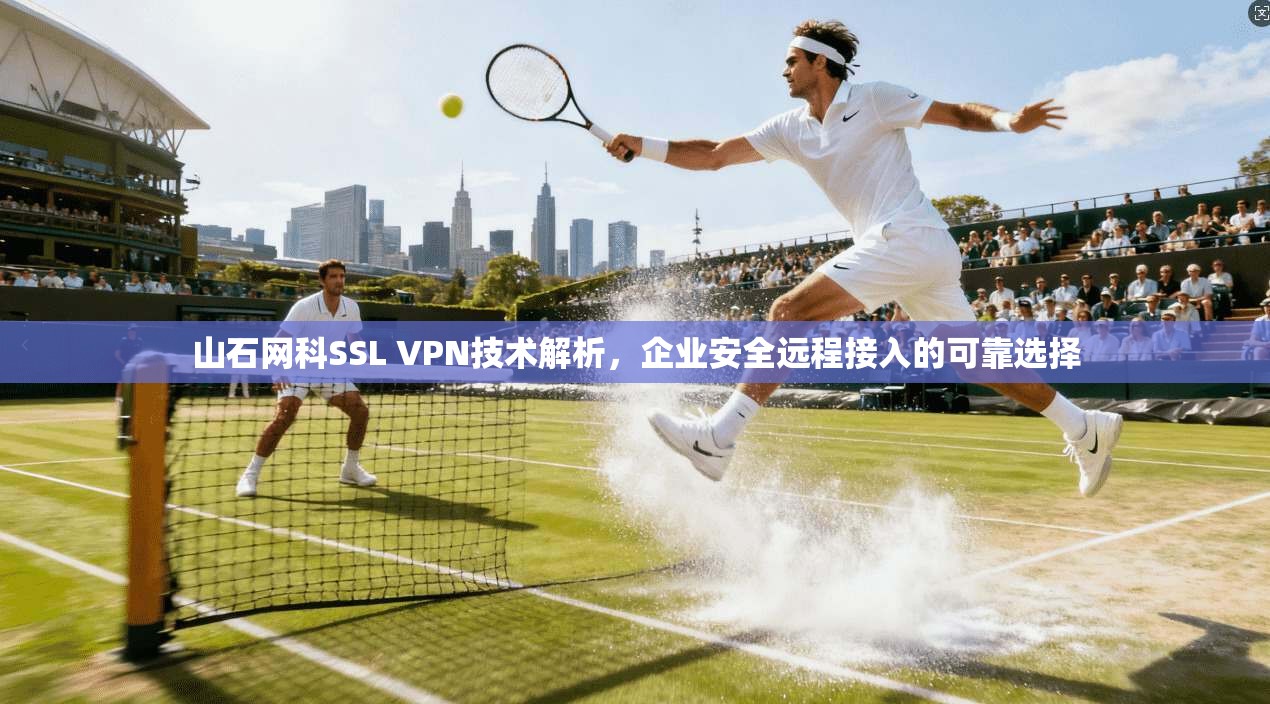 山石网科SSL VPN技术解析,企业安全远程接入的可靠选择