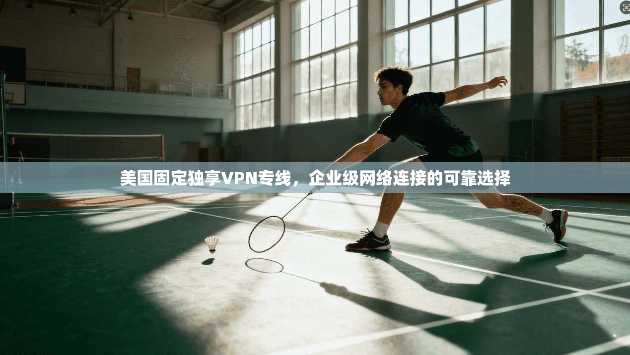 美国固定独享VPN专线,企业级网络连接的可靠选择